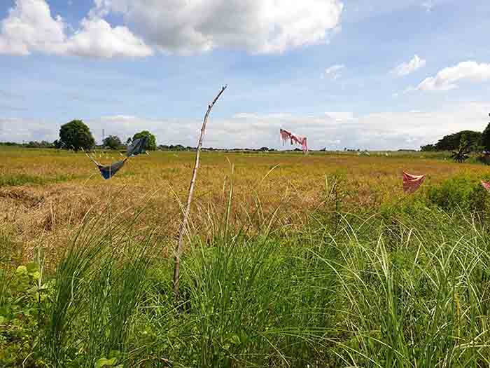 Agricultural Land for Sale in San Fernando, Pampanga